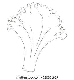 Cartoon outlined vegetable illustration with thin line black stroke