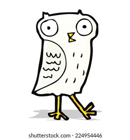 cartoon owl