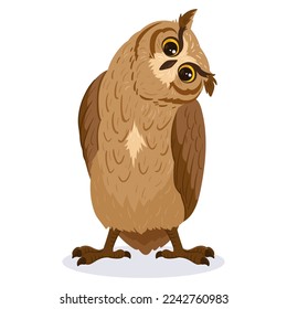 Cartoon owl bird. Cute brown bird, woods wildlife feathered owl, forest wild predator bird flat vector illustration on white background