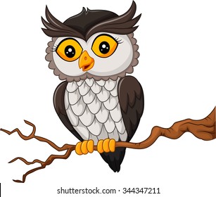 Cartoon owl bird posing on the tree
