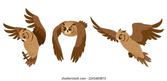 Cartoon owl birds. Flying birds, woods wildlife brown feathered owls, forest wild predator birds flat vector illustration on white background