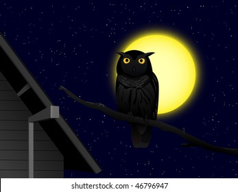cartoon owl on the branch