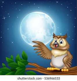 Cartoon owl on a tree branch in the night