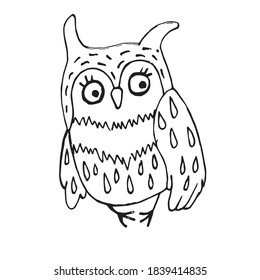 cartoon owl on a white background on a white background