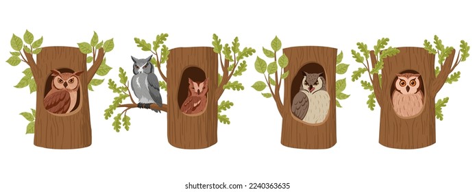 Cartoon owls in tree hollows. Wild forest owl birds sitting in woods house, wildlife birds oak nests flat vector illustration set. Owls hollows collection