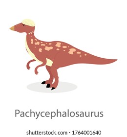 Cartoon Pachycephalosaurus isolated on white background. Flat design vector illustration