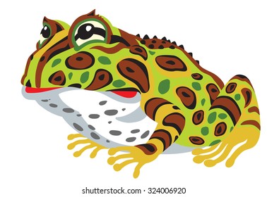 cartoon pacman horned frog isolated on white, Ceratophrys