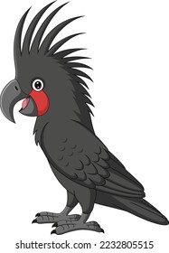 Cartoon Palm Cockatoo on White Background