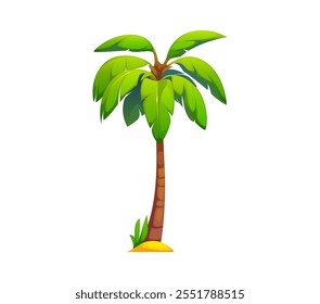 Cartoon palm or jungle tree for tropical forest of exotic plant, vector icon. Coconut or banana palm with green leaves for Hawaii vacation or Caribbean island and cartoon paradise island game element