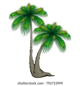 Cartoon palm tree.