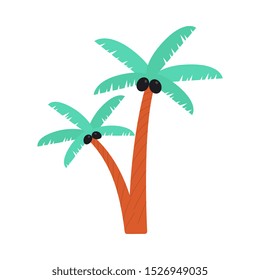 Cartoon palm tree drawing with black coconuts isolated on white background - exotic nature plants in flat style, brown trees with green leaves - vector illustration