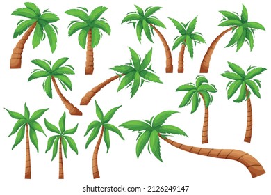 Cartoon palm tree. Exotic tropical plant, isolated jungle vegetation, coco and banana tree. Vector set