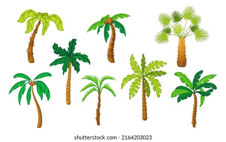 Palmera de dibujos animados. Palmeras tropicales de coco plano. Selvas verdes aisladas, plantas de playa hawaii o bosque exótico. Las vacaciones de la isla de verano limpias símbolos vectores