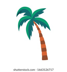 Cartoon palm tree with green leaves isolated on white background - tropical plant icon from exotic summer location. Flat vector illustration.