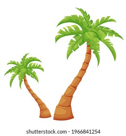 cartoon palm tree isolated on white background. tropical trees