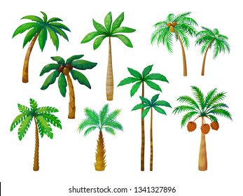 Cartoon Palm Tree. Jungle Palm Trees With Green Leaves, Coconut Beach Palms Isolated Vector Set