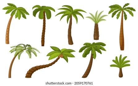 Cartoon palm tree. Summer coco palms, jungle coconut. Isolated beach plants. Tropical island green flora, seaside landscape recent vector elements