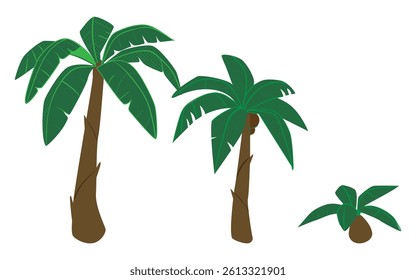 cartoon palm tree vector set with three tropical designs on white background. Perfect for summer themes, vacation graphics, and island-inspired projects. Bright exotic flora illustrations.