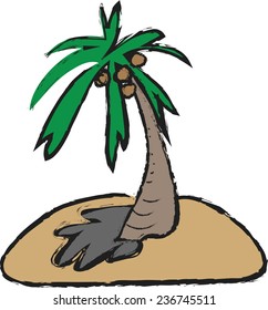 cartoon palm trees with coconut  isolated on white background