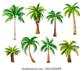 Zeichentrickpalmen. Palmen Kokospalmen Kokospalmen Blätter Hawaii Miami Ägypten Brasilien Strand Tropischer Wald Insel Naturschirm, geniale Vektorillustration von tropischen Palmen, Dschungel Hawaii