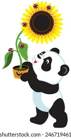 cartoon panda bear holding a sunflower , isolated image for little kids