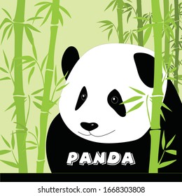 Cartoon panda on green background with bamboo, vector