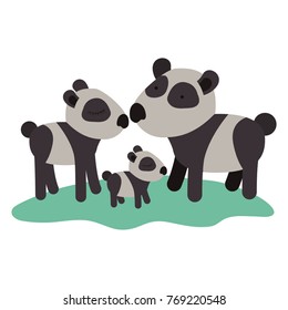 cartoon pandas couple with cub over grass in colorful silhouette on white background