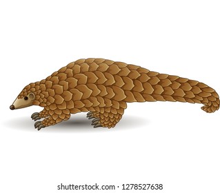 Cartoon pangolin isolated on white background