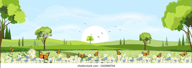 Cartoon panorama of natural Spring field with butterfly flying over daisy flowers,Beautiful scene of countryside in Sunny day summer,Flat cartoon style background for Easter banner,Vector illustration