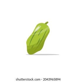 cartoon papaya fruit flat design. vector illustration