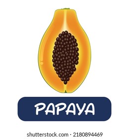 cartoon papaya fruit vector isolated on white background