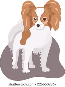 Cartoon papillon dog isolated on transparent background. Cute vector little pet. Domestic animal