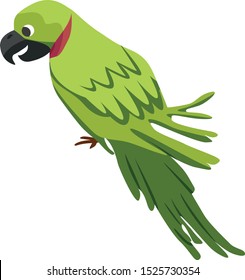Cartoon parrot flat vector illustration