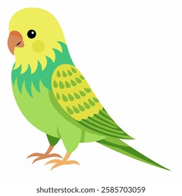 cartoon parrot isolated on white background. Green small budgerigar. Talking realistic budgies. Domestic birds.Suitable for education poster infographic guide catalog,children's books. Pro Vector