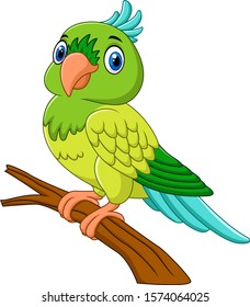 Cartoon parrot on tree branch