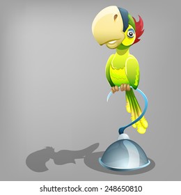 Cartoon parrot. Vector illustration.