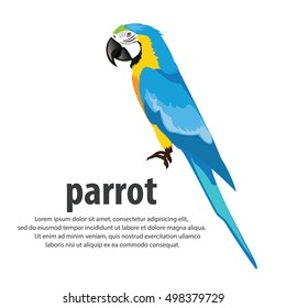 Cartoon parrots color blue . vector illustration.