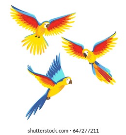 Cartoon parrots set