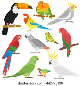 Parrot Images, Stock Photos & Vectors | Shutterstock