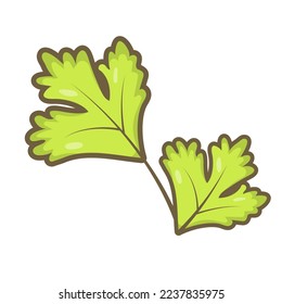 cartoon parsley leaves isolated on white background