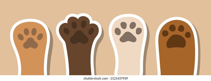 Cartoon paws of a cat. Paws set. Vector clipart.
