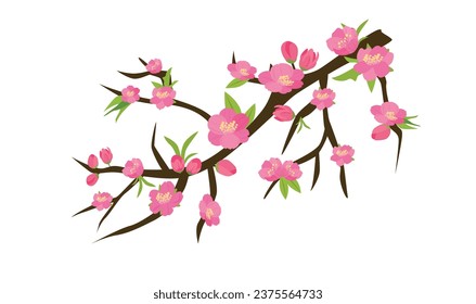 Cartoon peach blossom vector set with flower, leaf, bud, tree branch. Cherry blossom vector. Spring flower.Tet flower. Vietnam traditional new year flower, hoa dao. Flat vector in cartoon style. svg