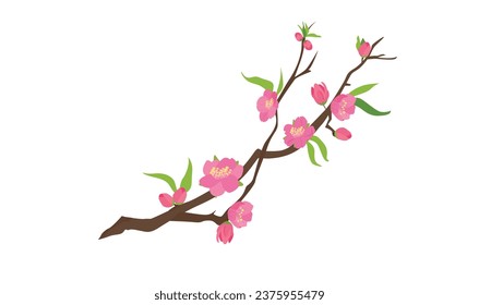 Cartoon peach blossom vector set with flower, leaf, bud, tree branch. Cherry blossom vector. Spring flower.Tet flower. Vietnam traditional new year flower, hoa dao. Flat vector in cartoon style.