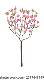 Cartoon peach blossom vector set with flower, leaf, bud, tree branch. Cherry blossom vector. Spring flower.Tet flower. Vietnam traditional new year flower, hoa dao. Flat vector in cartoon style.