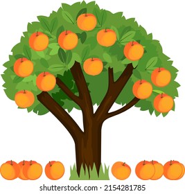 Cartoon Peach Tree With Green Crown And Ripe Fallen Peaches Isolated On White Background