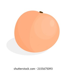 Cartoon peach vector illustration. Cartoon fruit