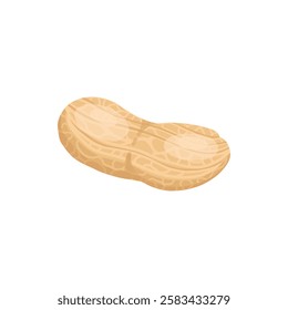 Cartoon peanut. Delicious tasty peanuts snack, raw peanut in shell flat vector illustration. Crunchy peanuts nut on white background