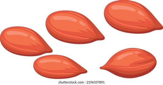 Cartoon peanuts. Different sizes nuts. Edible seeds isolated on white background