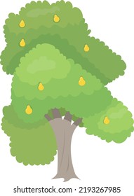 Cartoon pear tree vector illustration in flat design isolated on white background.
