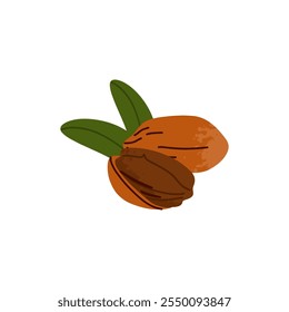 Cartoon pecan. Nuts in shell and peeled pieces. Healthy food. Diet snack. Organic vegetarian element. Whole and half. Natural plant ingredient packaging design vector isolated illustration
